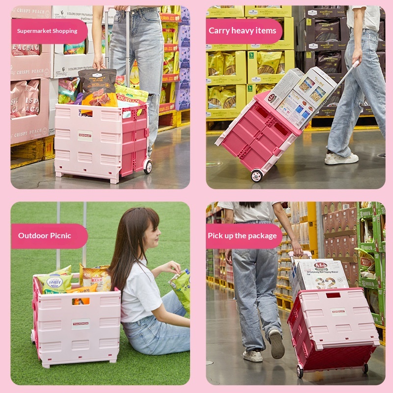 Chariot de courses pliable por - Sports Equipment Trolley avis et prix