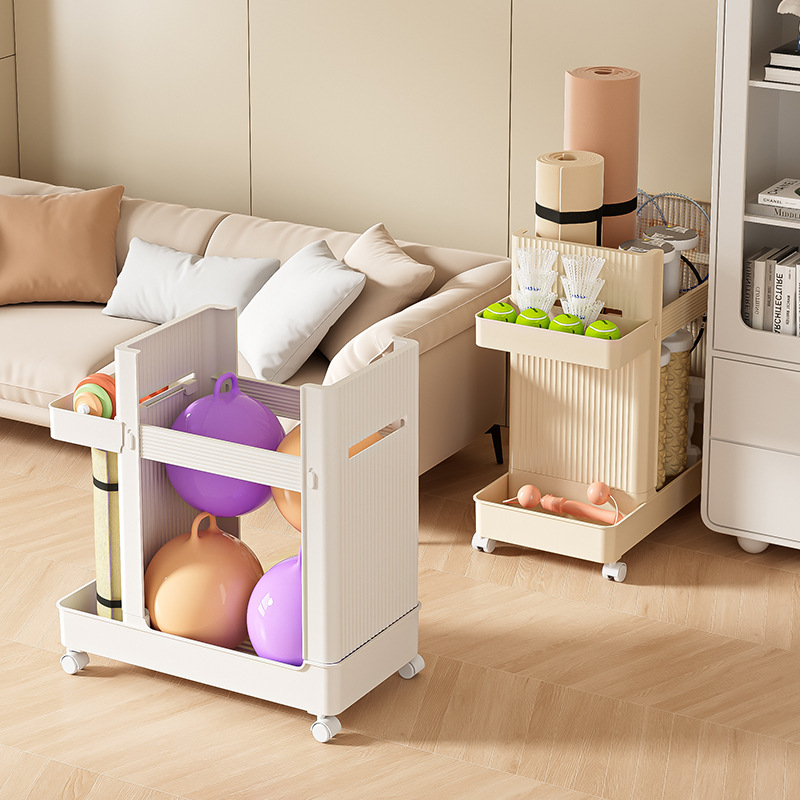 Étagère de rangement pour équi - Sports Equipment Trolley avis et prix